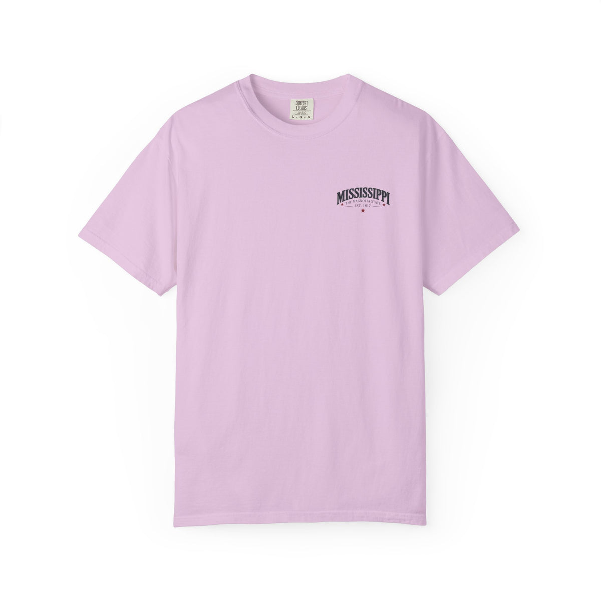 Mississippi Magnolia State T-Shirt — State Capitol & River Graphic
