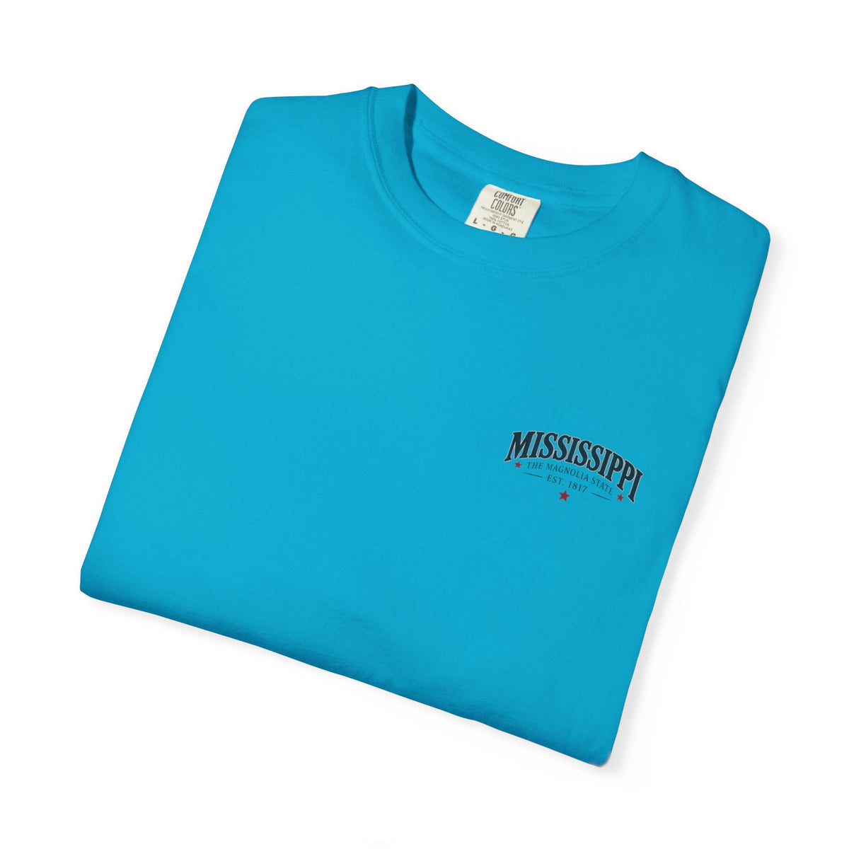 Mississippi Magnolia State T-Shirt — State Capitol & River Graphic