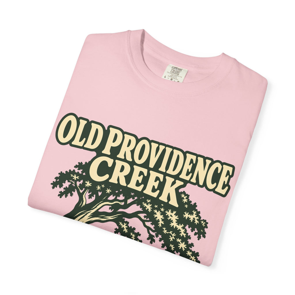 Old Providence Creek T-Shirt — Vintage Creekside Nature Tee