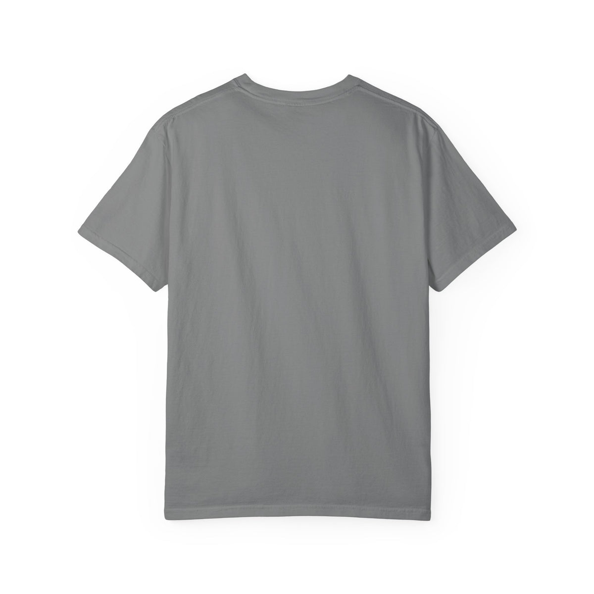 Go Fight Win Football Team T-Shirt
