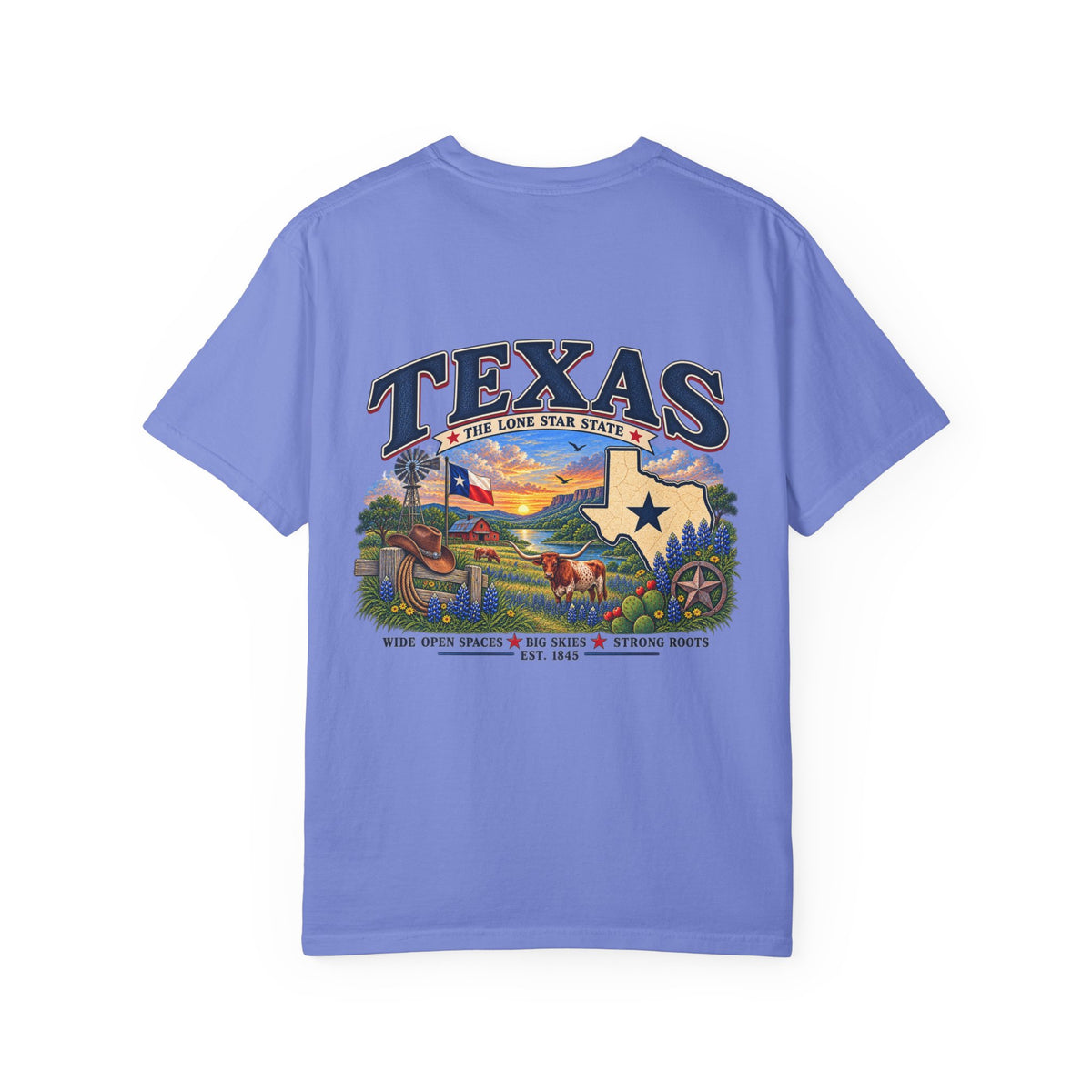 Texas Vintage Graphic T-Shirt — Lone Star State Scenic Design