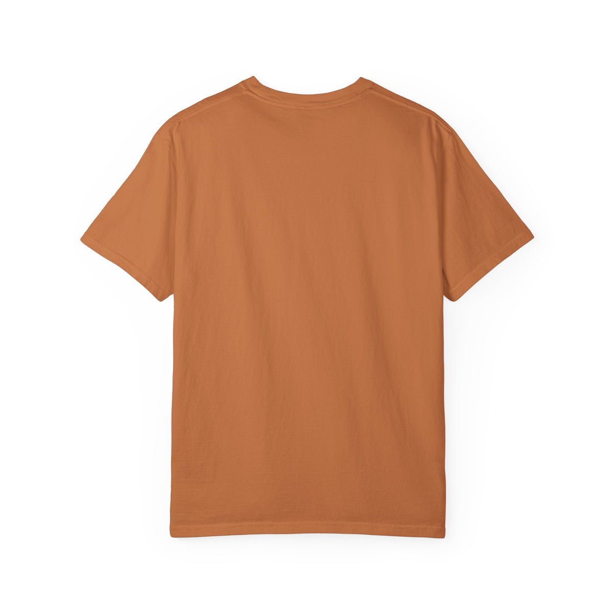 Go Fight Win Football Team T-Shirt