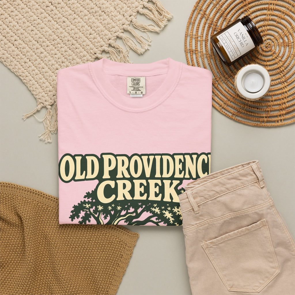 Old Providence Creek T-Shirt — Vintage Creekside Nature Tee