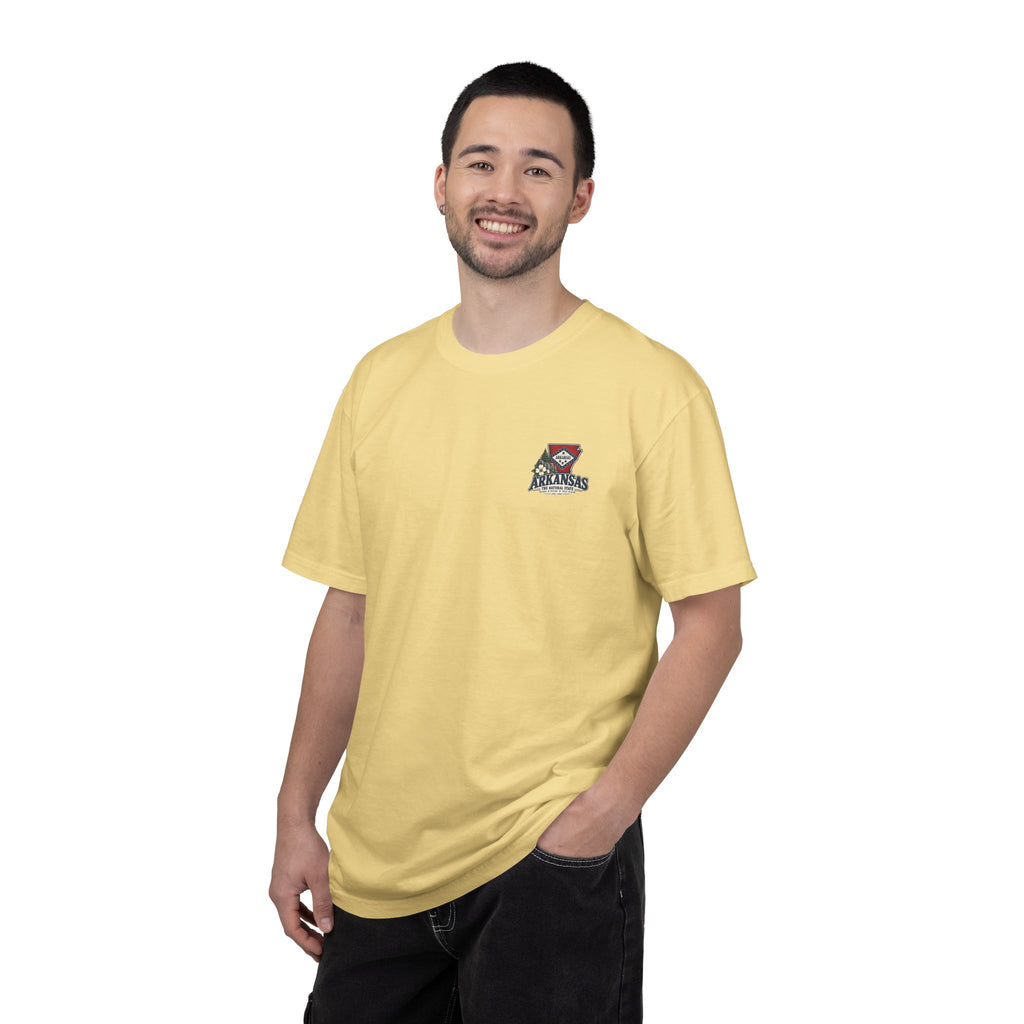 Arkansas The Natural State T-Shirt — Scenic State Pride Tee