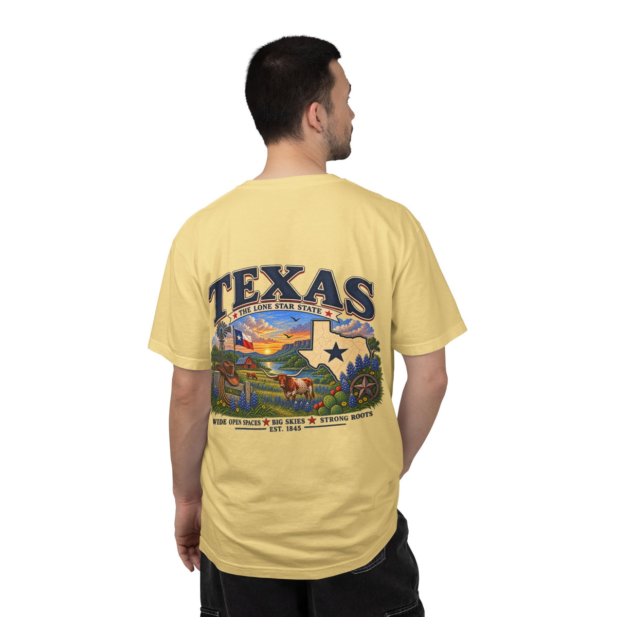 Texas Vintage Graphic T-Shirt — Lone Star State Scenic Design