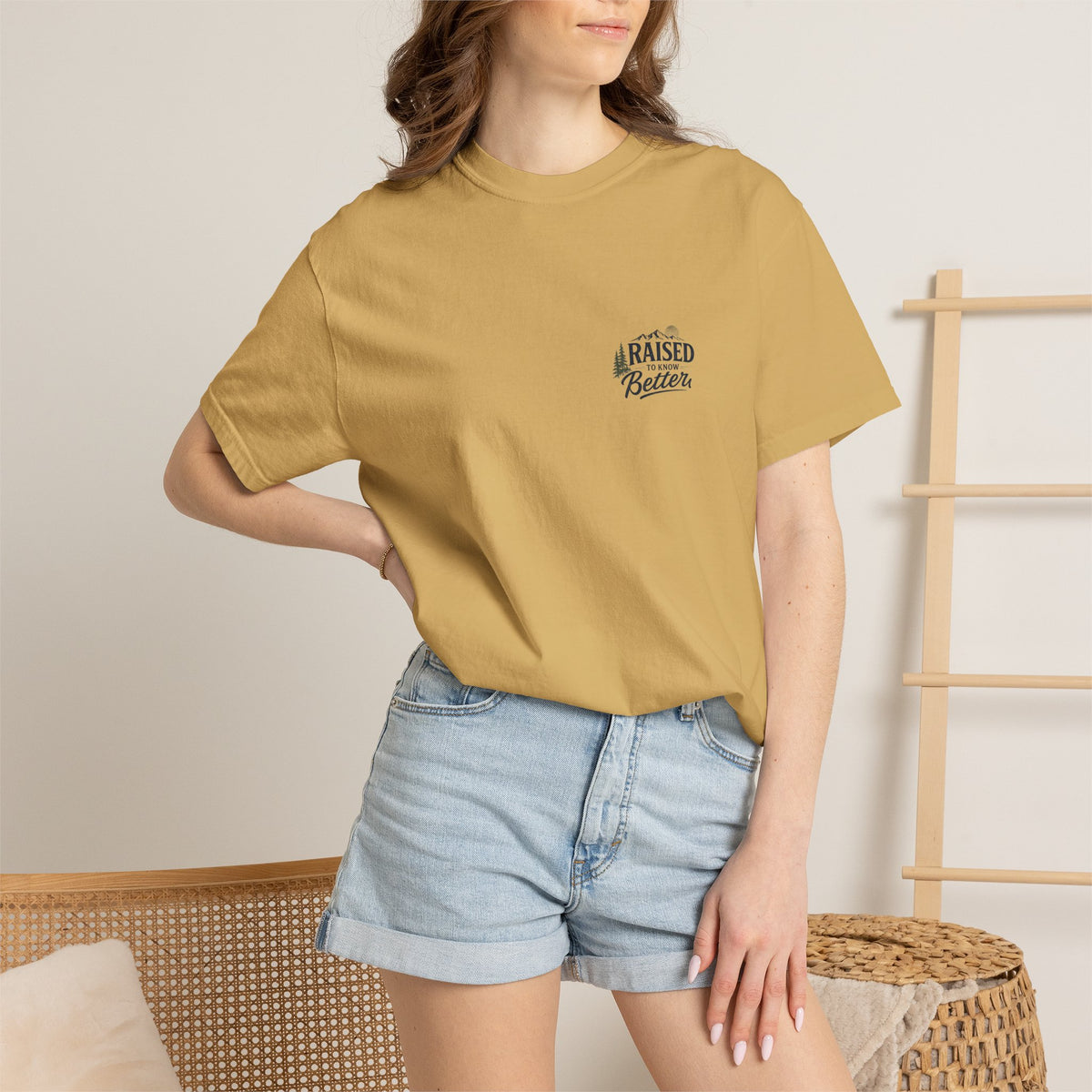 We Don’t Air Your Laundry T-Shirt — Vintage Laundry Quote Tee