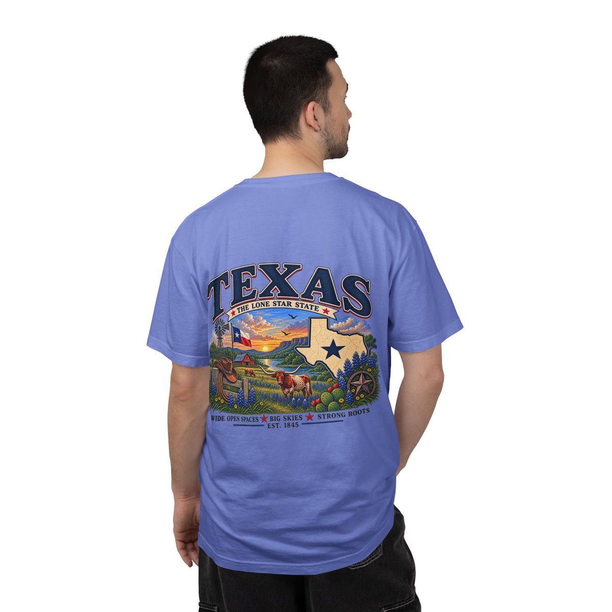 Texas Vintage Graphic T-Shirt — Lone Star State Scenic Design