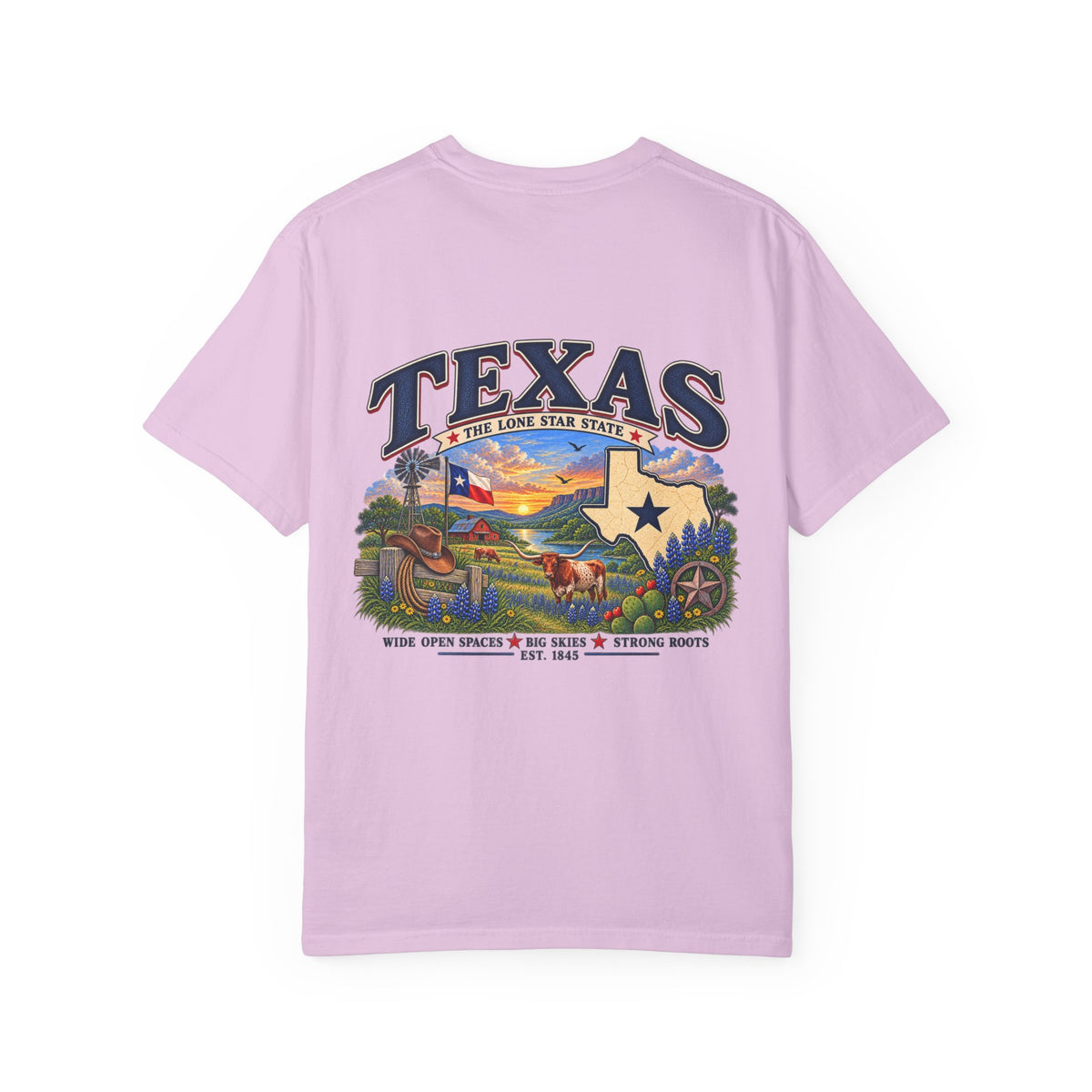 Texas Vintage Graphic T-Shirt — Lone Star State Scenic Design
