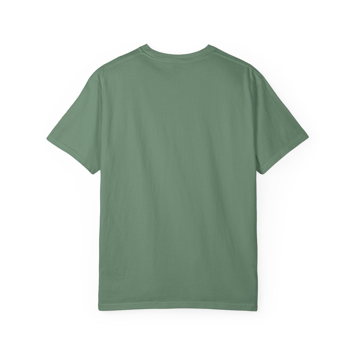 Old Providence Creek T-Shirt — Vintage Creekside Nature Tee