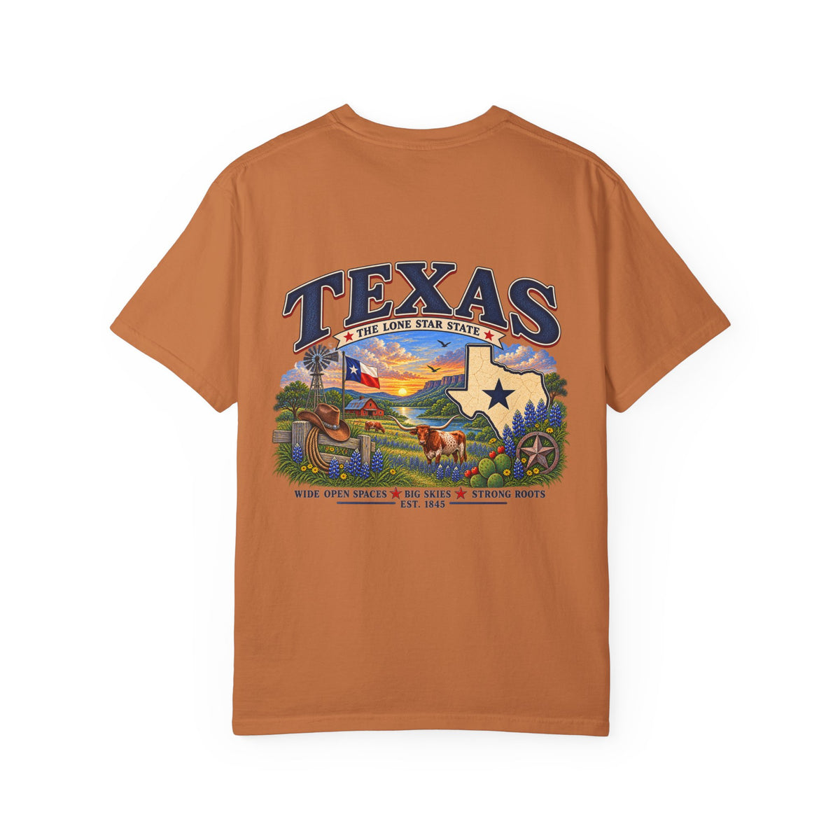 Texas Vintage Graphic T-Shirt — Lone Star State Scenic Design