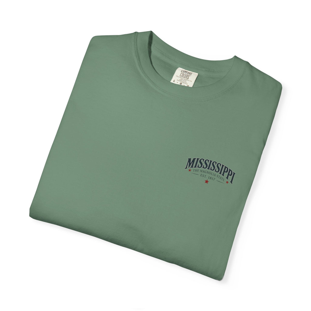 Mississippi Magnolia State T-Shirt — State Capitol & River Graphic