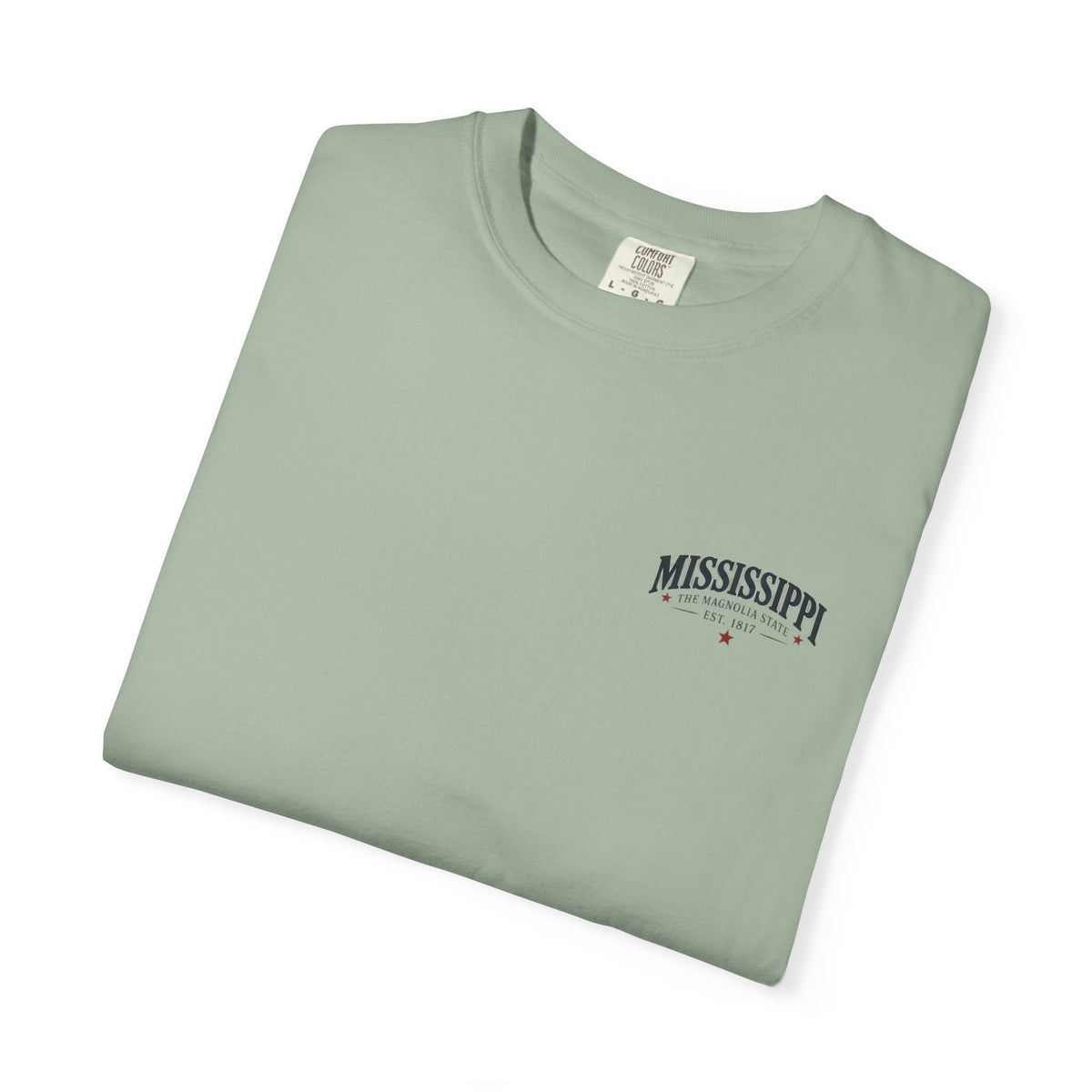 Mississippi Magnolia State T-Shirt — State Capitol & River Graphic